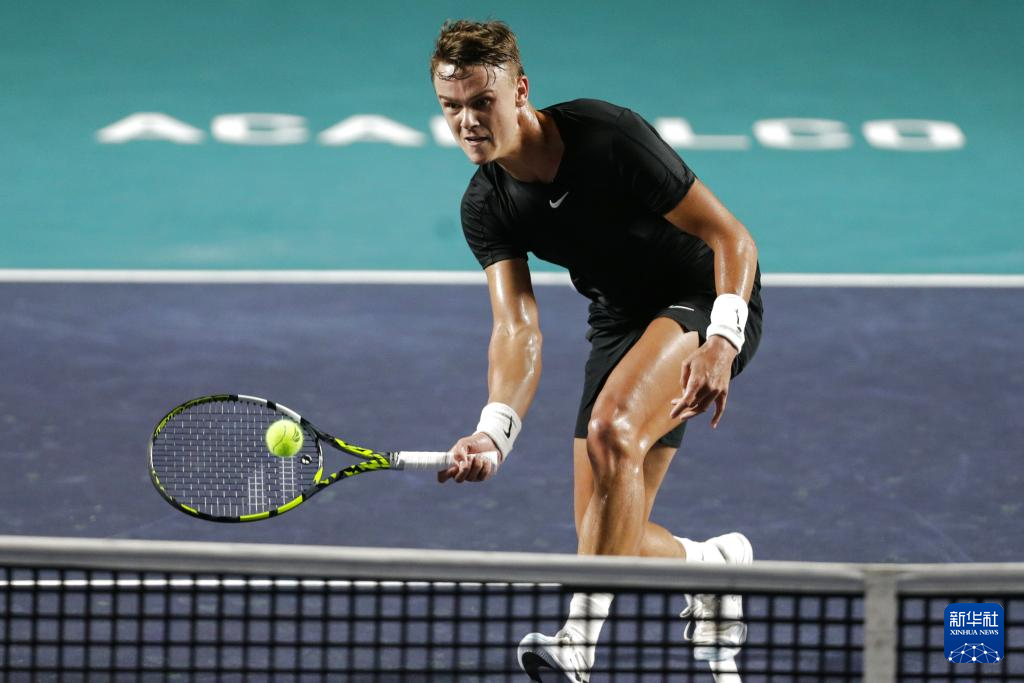 场的主导地 场的主导地